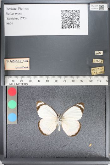 Media type: image;   Entomology 130426
